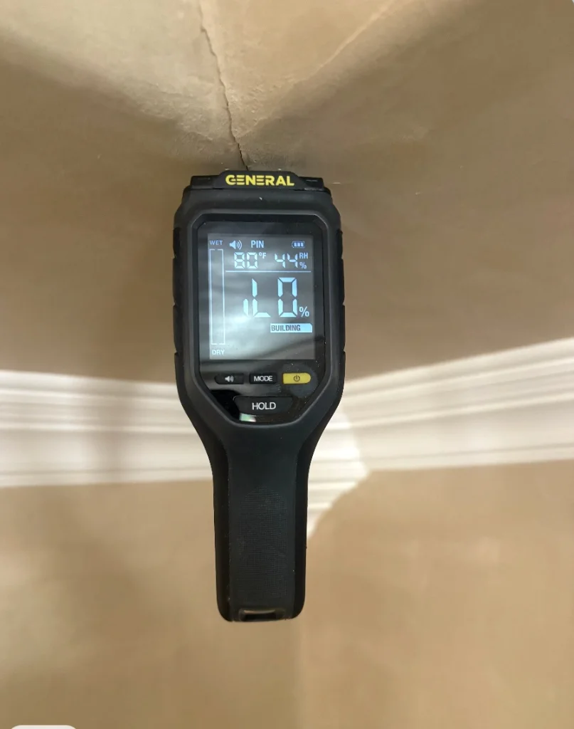 Precision Moisture Mapping & Leak Diagnostics